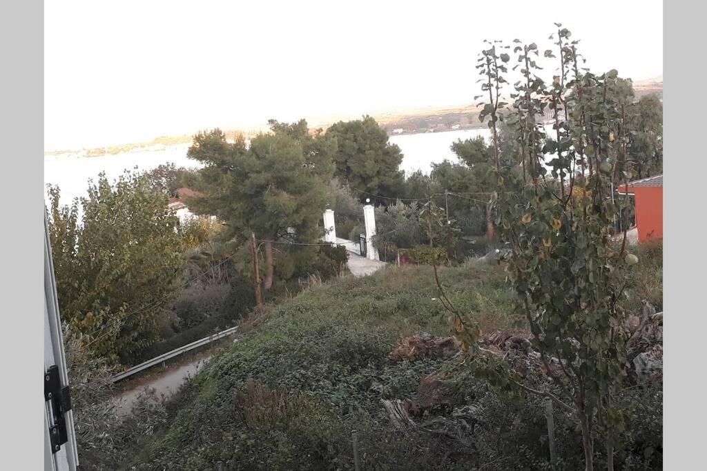 Amazing Sea View-Neos Pyrgos Beach -Evoia Greece Неос Пиргос Екстериор снимка