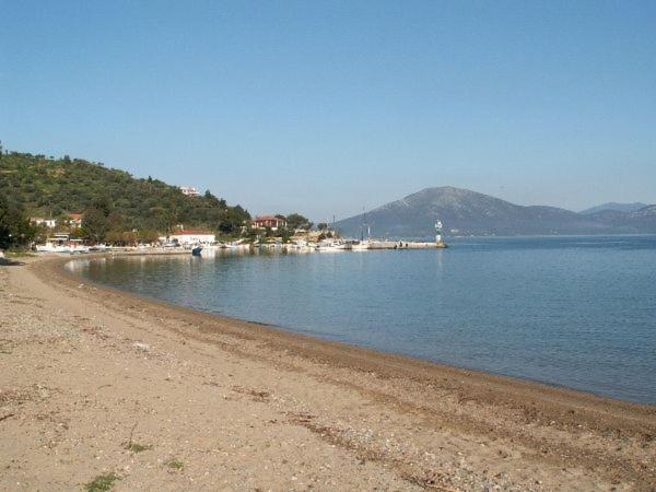 Amazing Sea View-Neos Pyrgos Beach -Evoia Greece Неос Пиргос Екстериор снимка